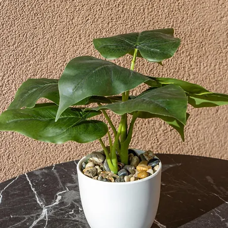 Navial 1 בית הארחה גברובו