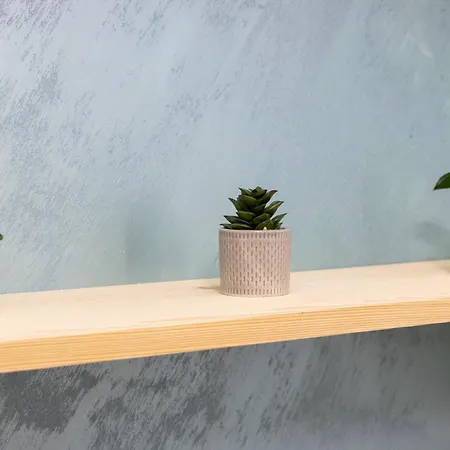 בית הארחה Navial 1