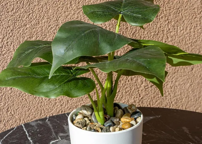 Navial 1 ゲストハウス ガブロヴォ