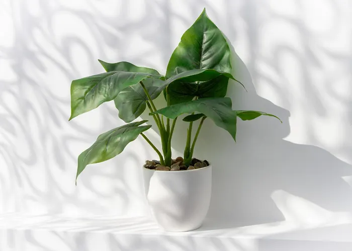 ゲストハウス Navial 1